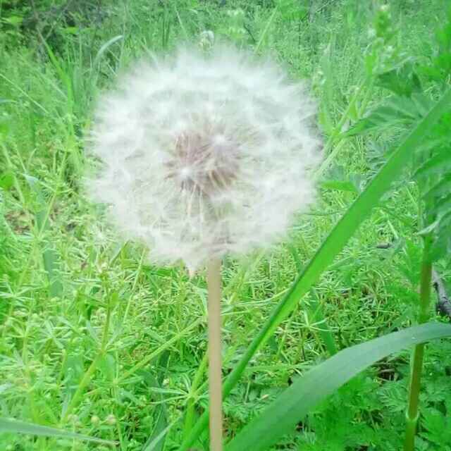 春夏秋冬