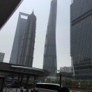 玉东木