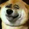.源.