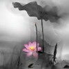 青纱