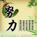 刘振国