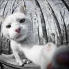 后来