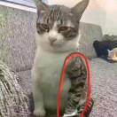 老弟去哪里