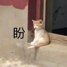 rocca_wan