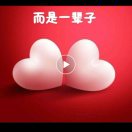 騎著蝸牛看世界