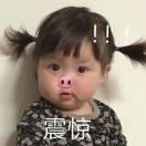 北栀