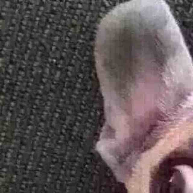 唯恐天下不乱的活在这个灾祸不断的世界
