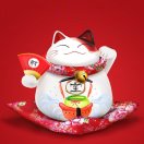 刘佳