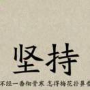 赣南茶油