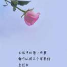 阳光