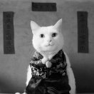 烁妈幸福