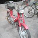 eric lsh