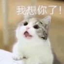 哈喽ﾉhi~。。！，