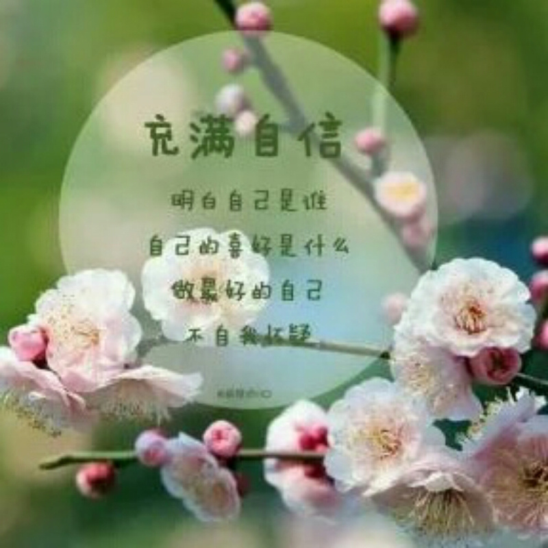 哇咔咔咔景