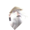 独孤白星凤辰
