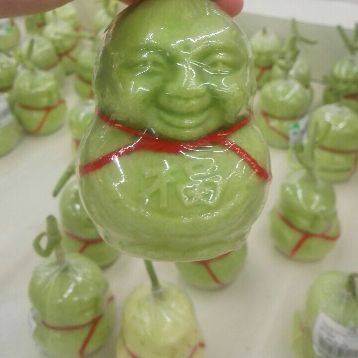 随波逐流