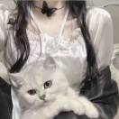 癮
