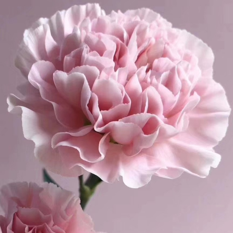  他是光芒亦能暖阳