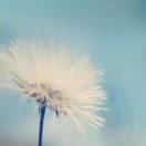 小许   岁月静好