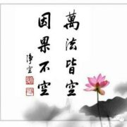 小胖D奋斗