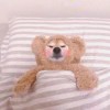 理想信念~
