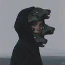 奋斗小强。