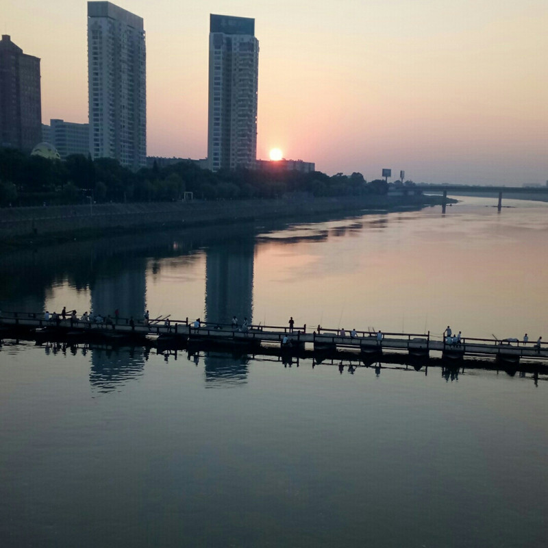 音乐虫子