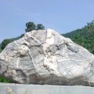 魏志瑞