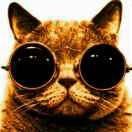 Garfyee