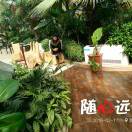 美丽的春天