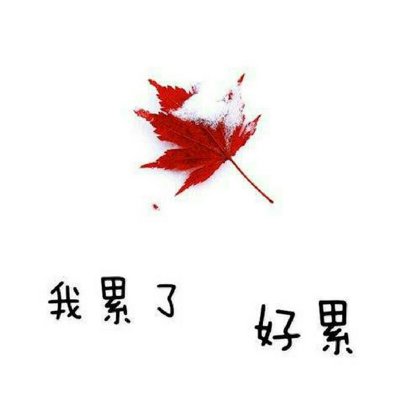 晴宝