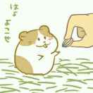 小猪