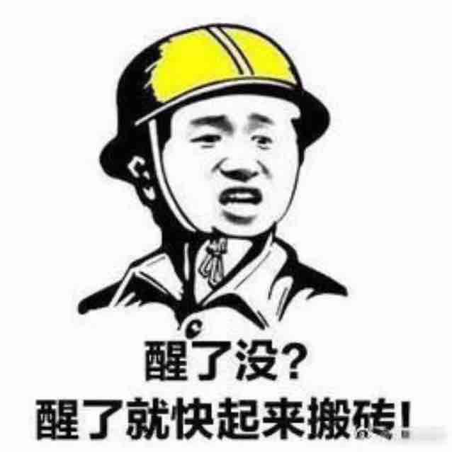 书虫