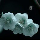 林家大姐