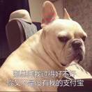 宏途