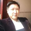 林中白狼