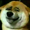 狗头保命.
