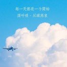 林林