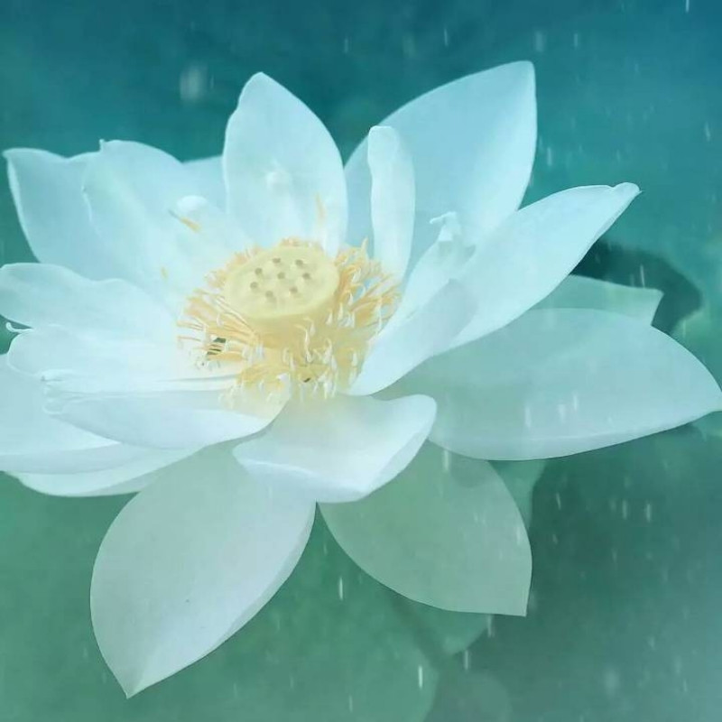 秀