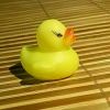 瑕疵一丢丢
