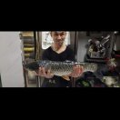 。。。。，，！！。，，，，，