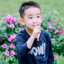 此间少年