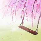 华子雨