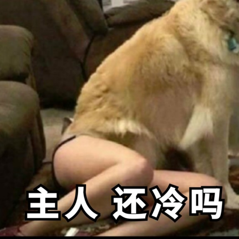 哏哏家恶犬