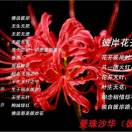 嗨起来嗨起