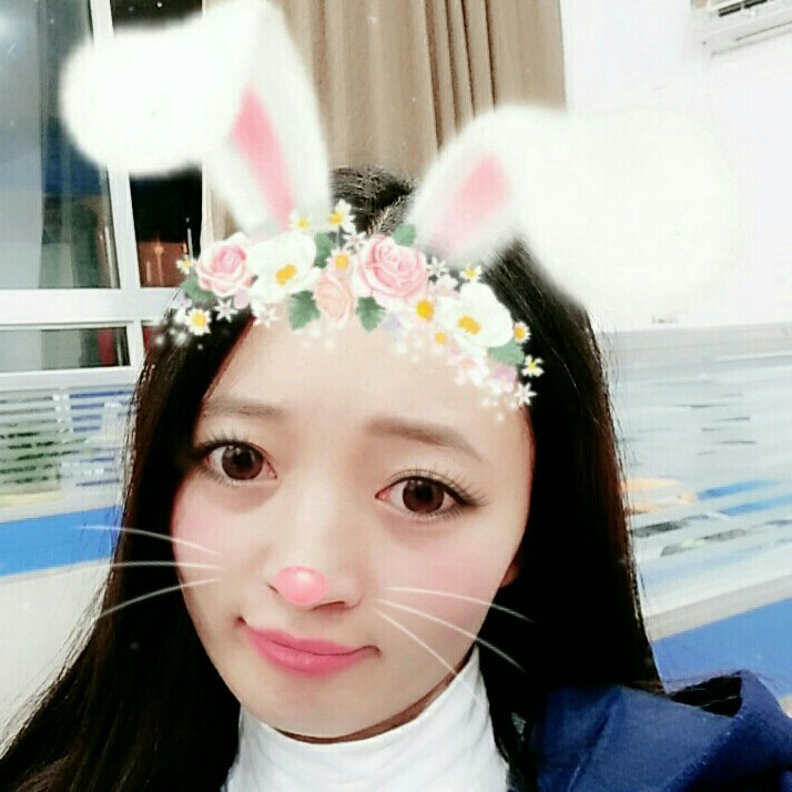 恬淡如菊
