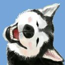 龙