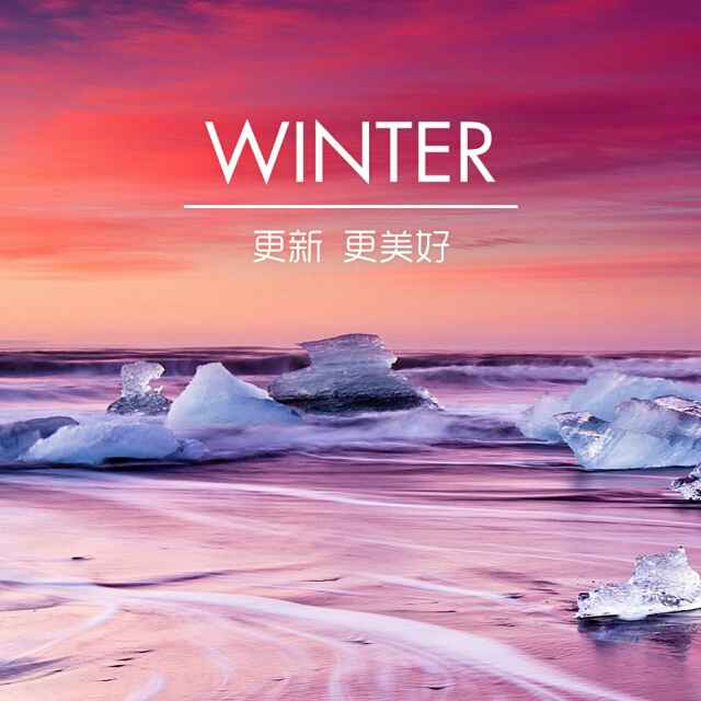 枫叶