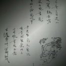 定子