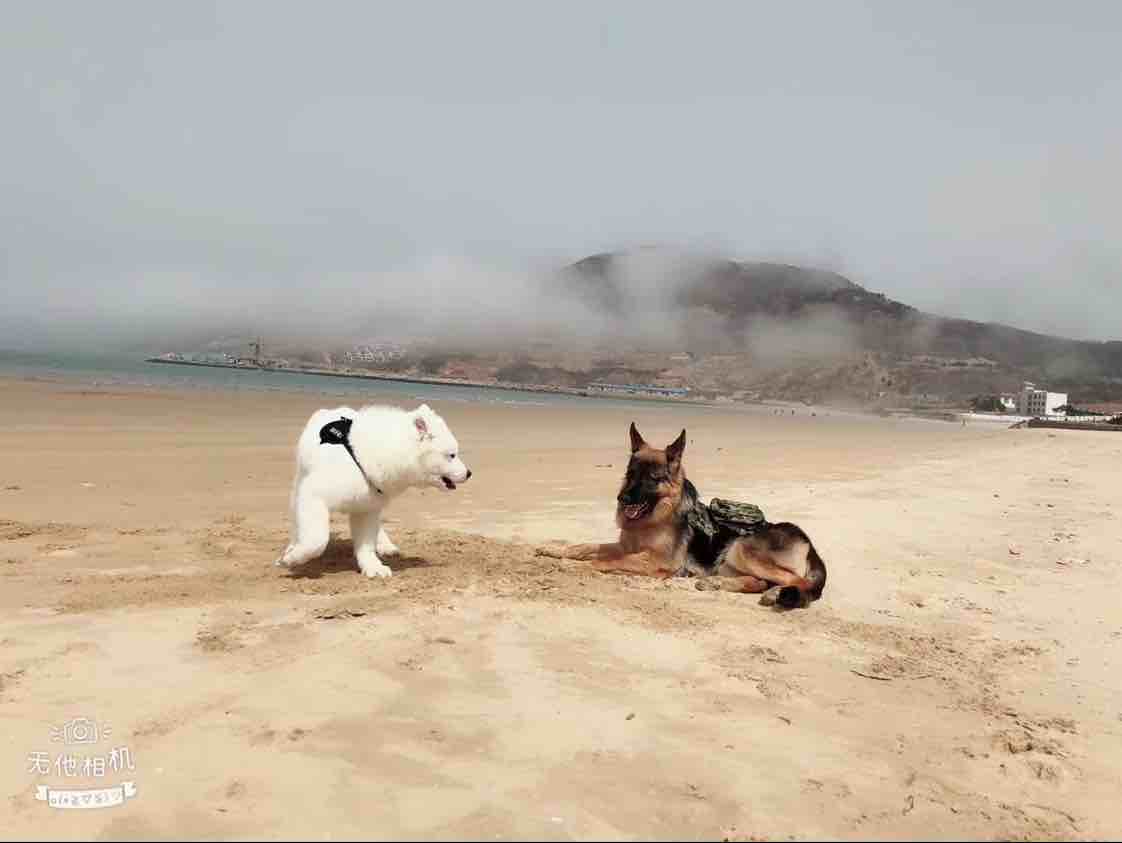 清泉漂流
